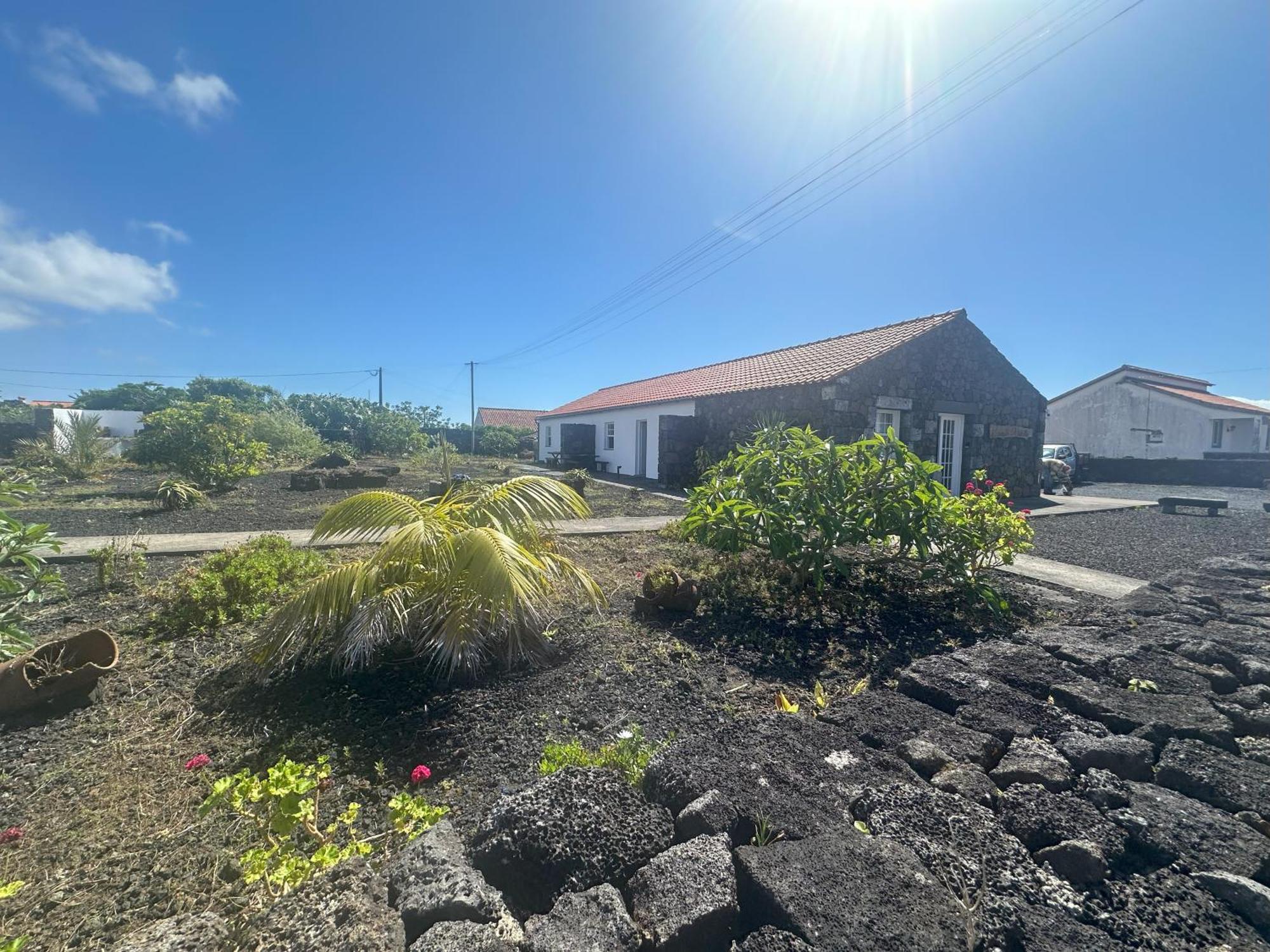 Casas Do Verdelho Madalena  Exteriör bild